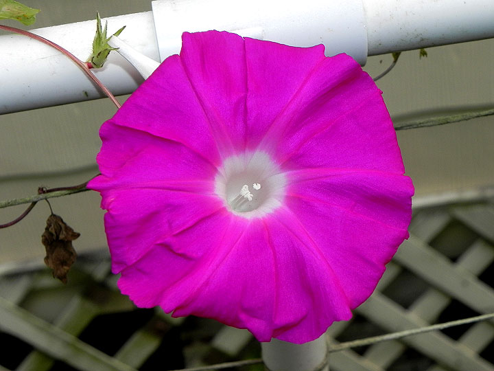 DSCN2446