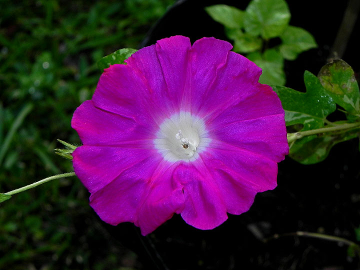 DSCN2537