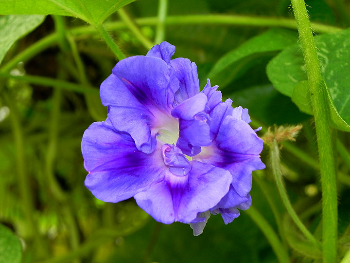 DSCN2662