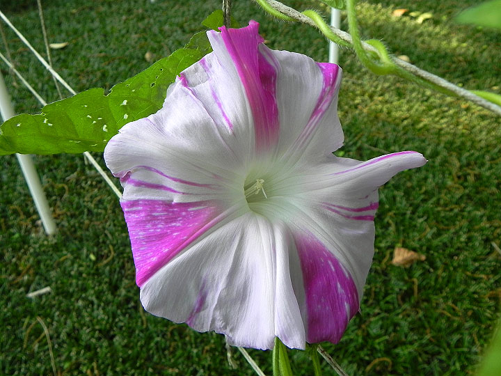 DSCN2680_01