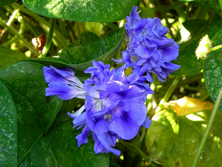 DSCN2799