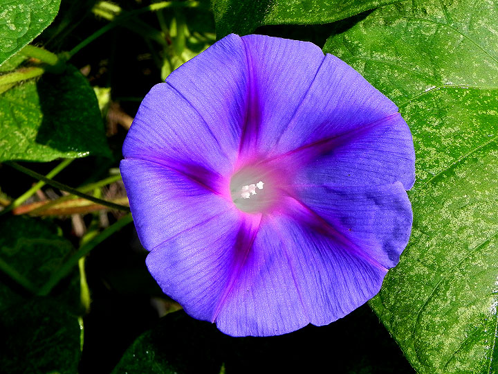 DSCN2804