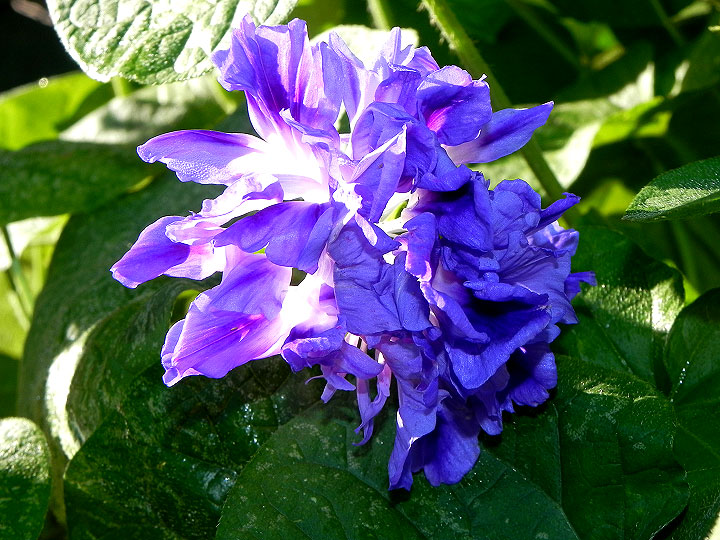 DSCN2904