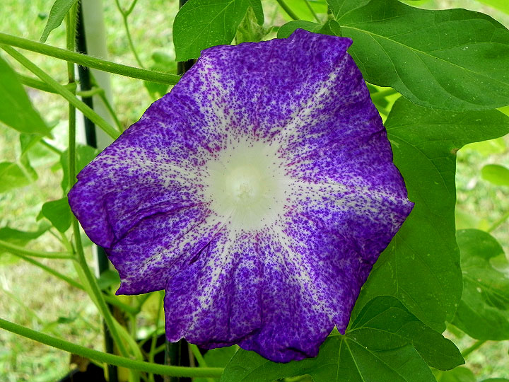 DSCN3051_01