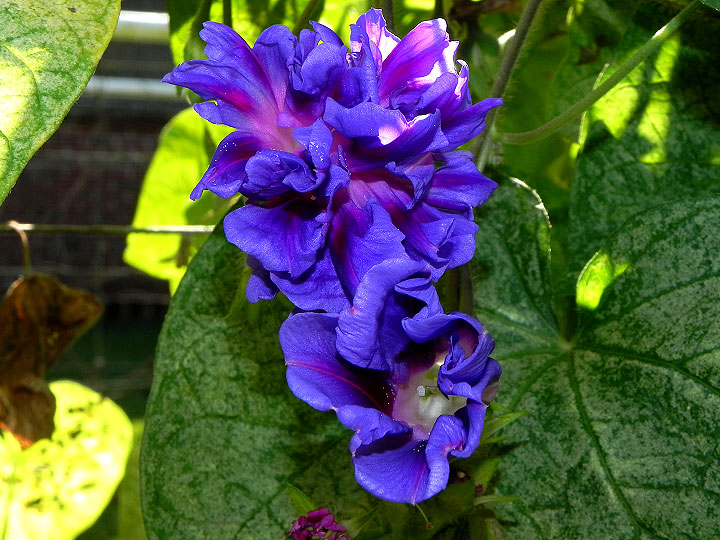 DSCN3389