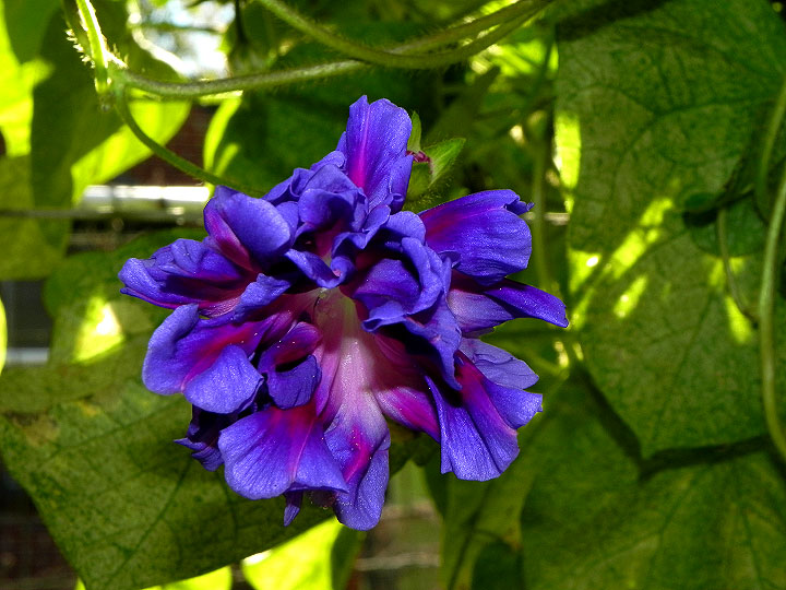 DSCN3390