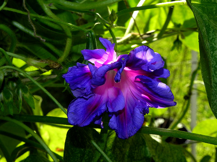 DSCN3391