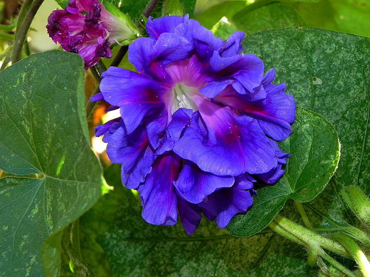 DSCN3392