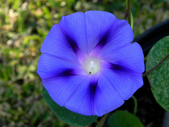 DSCN3474