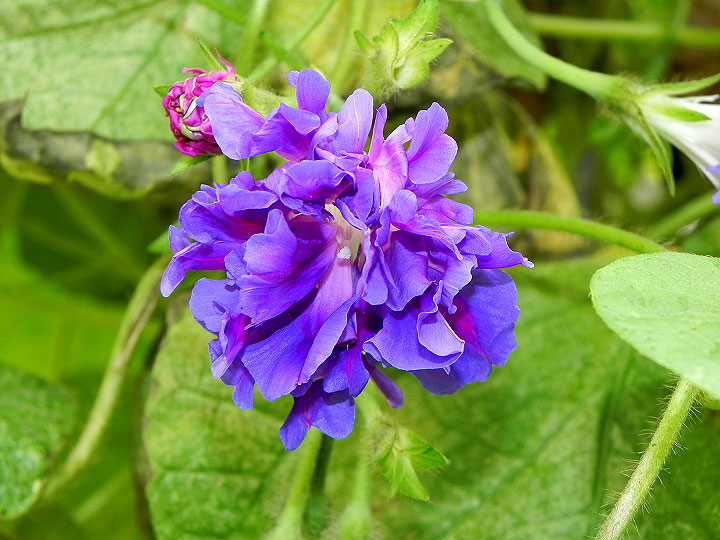 DSCN3561