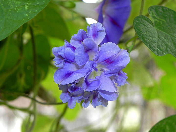 DSCN3578