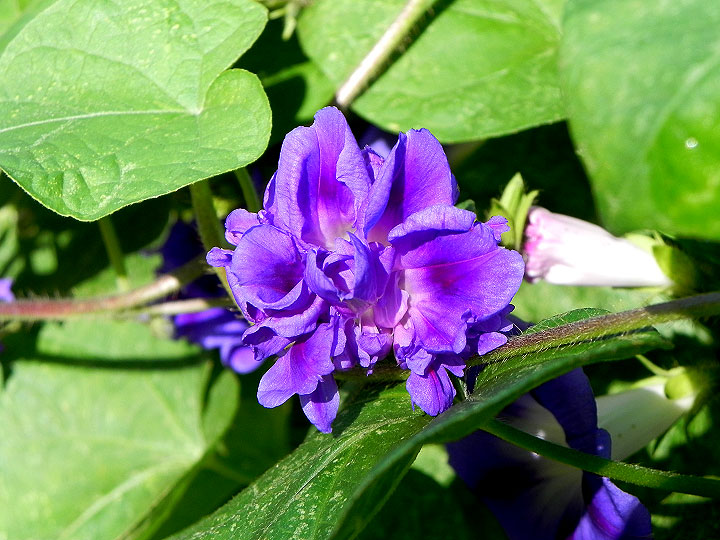DSCN3610