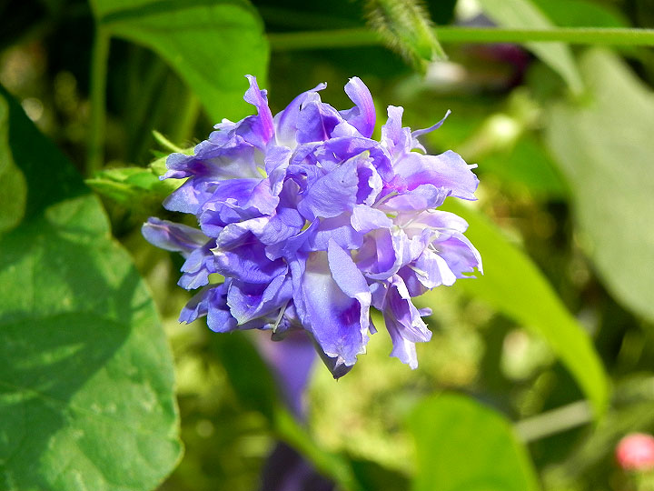 DSCN3630