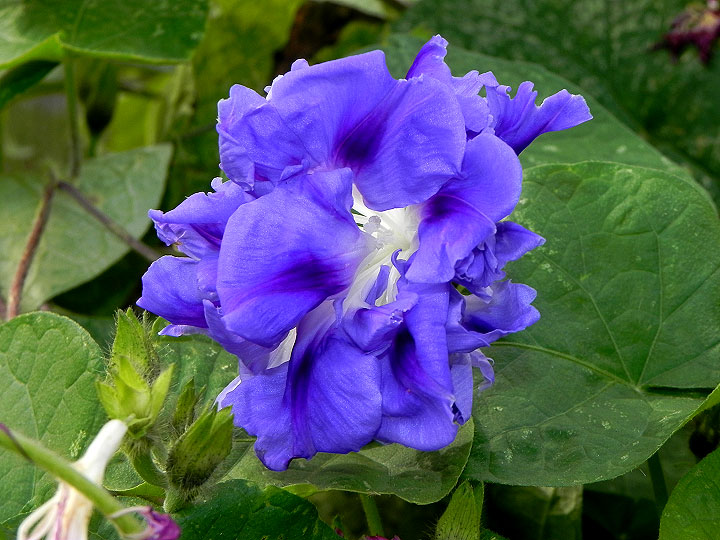DSCN3705