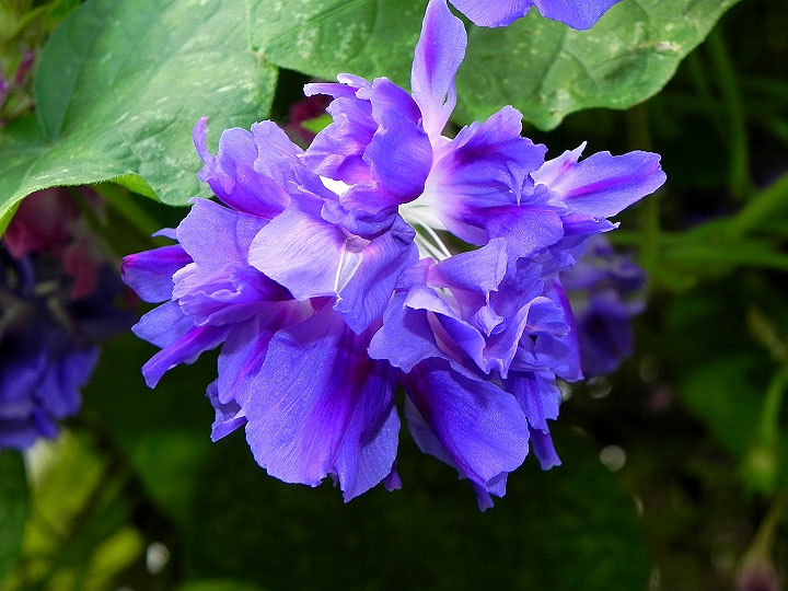 DSCN3785