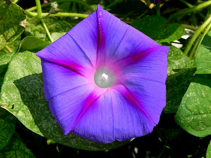 DSCN3803
