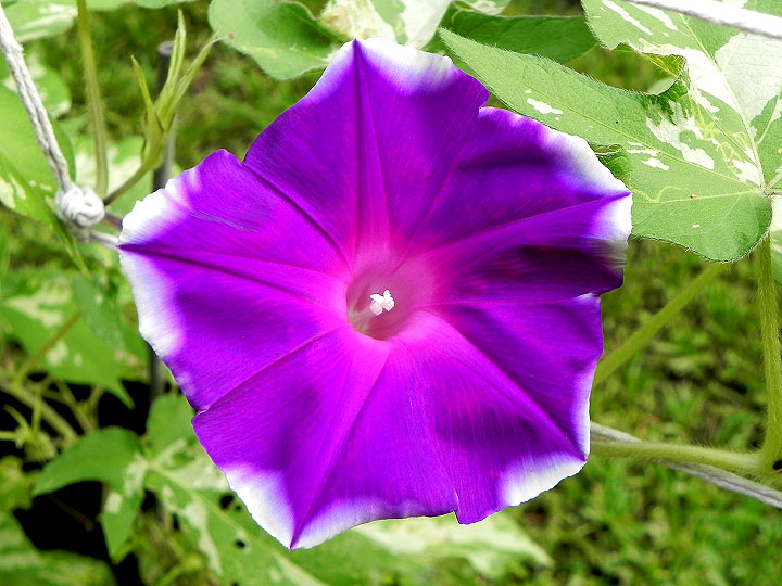 DSCN4763_01