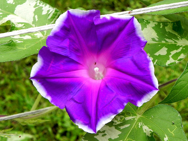 DSCN4834_01