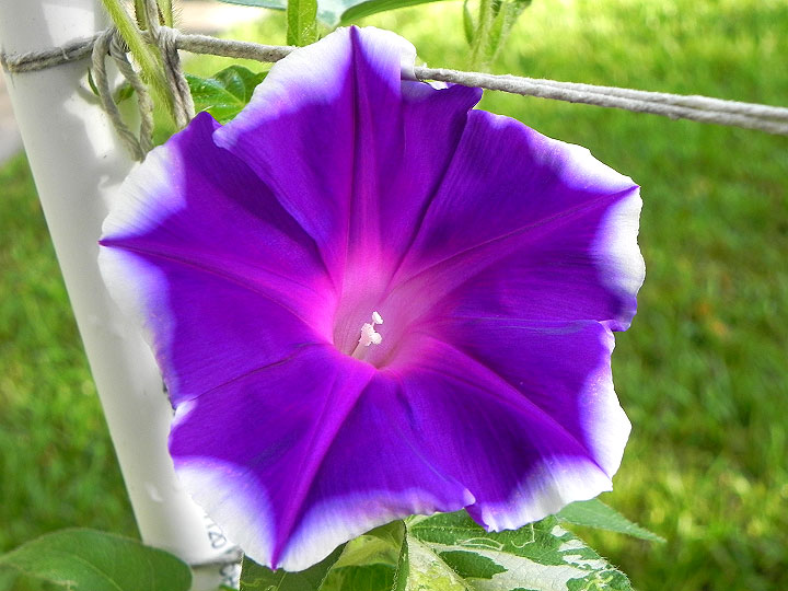 DSCN4912
