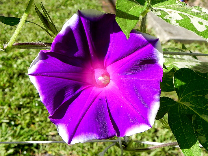 DSCN4969