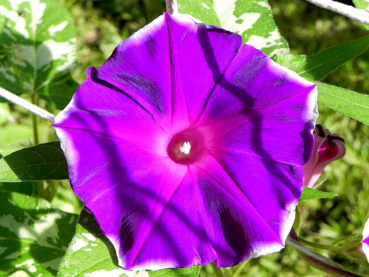 DSCN5043_02
