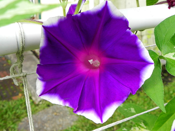 DSCN5158