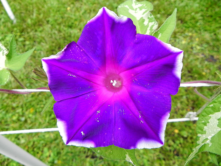 DSCN5713