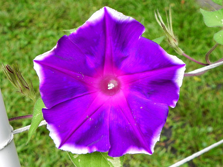 DSCN5943