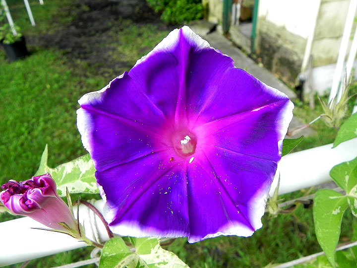 DSCN6164