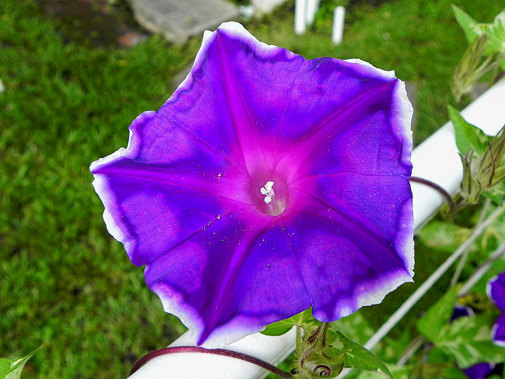 DSCN6405