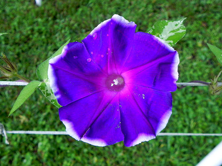 DSCN6406