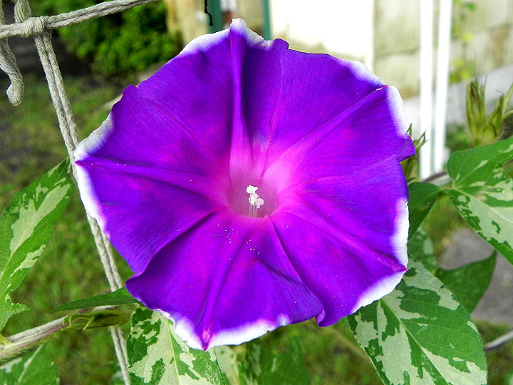 DSCN6856