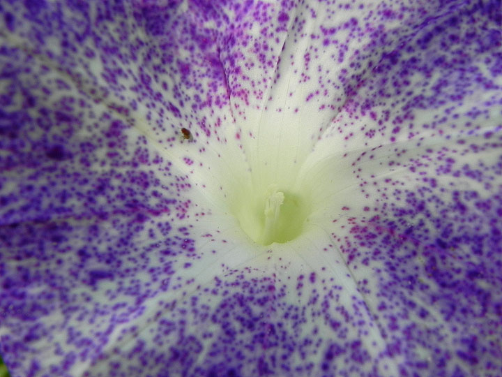 DSCN6981