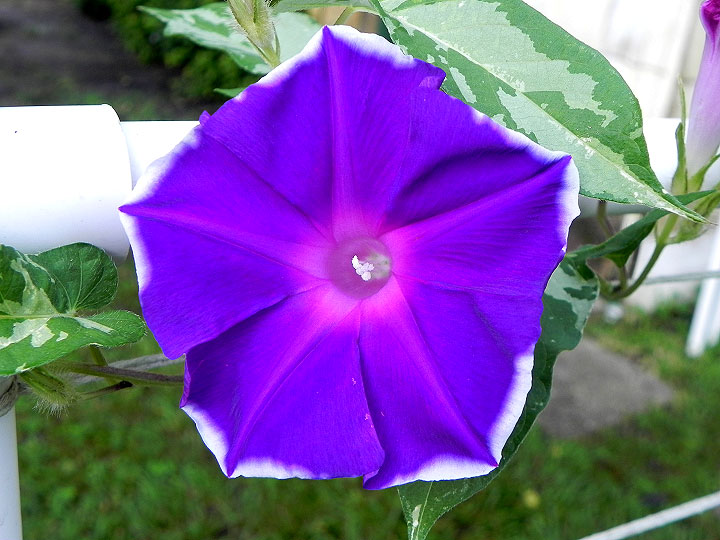 DSCN7025