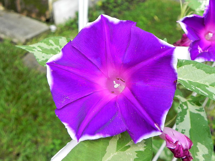 DSCN7072_01