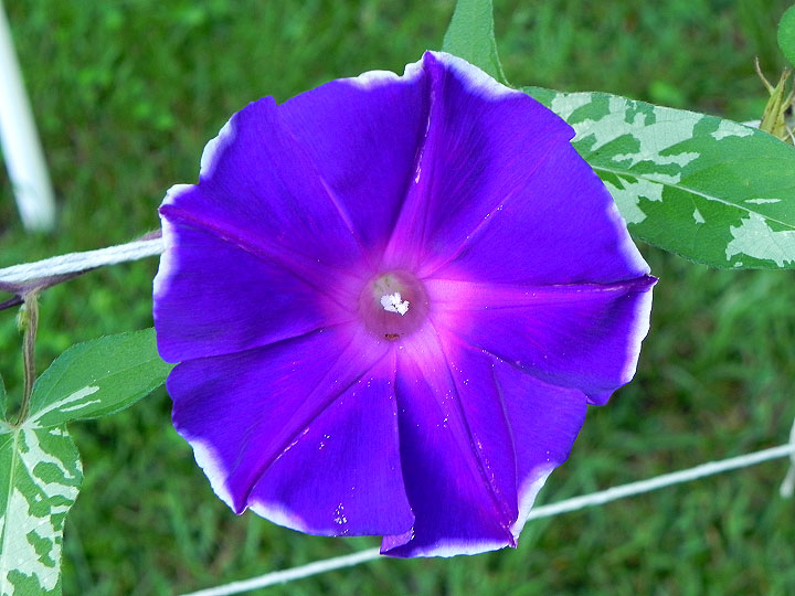 DSCN7125_01