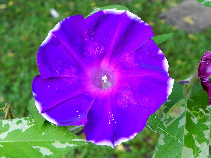 DSCN7322