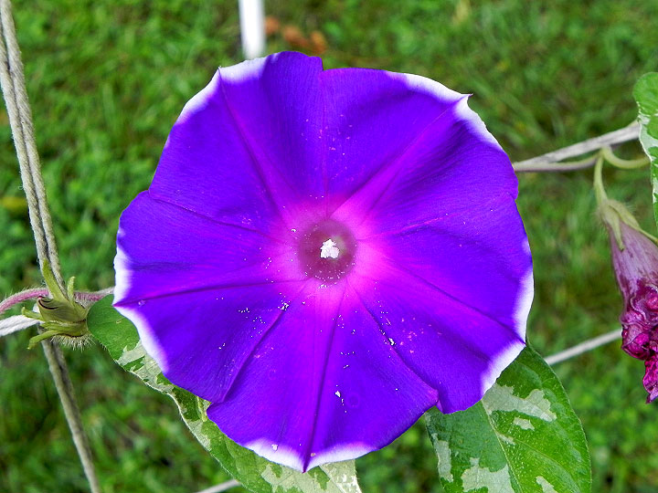 DSCN7464