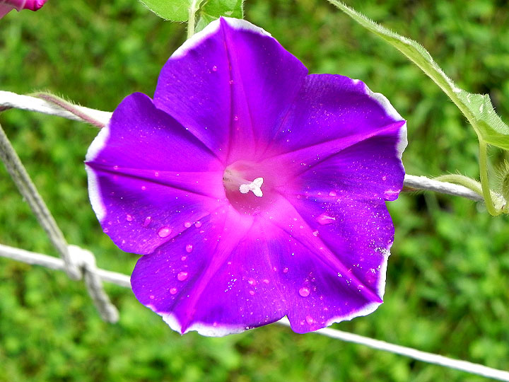 DSCN7586
