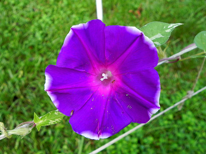 DSCN7761