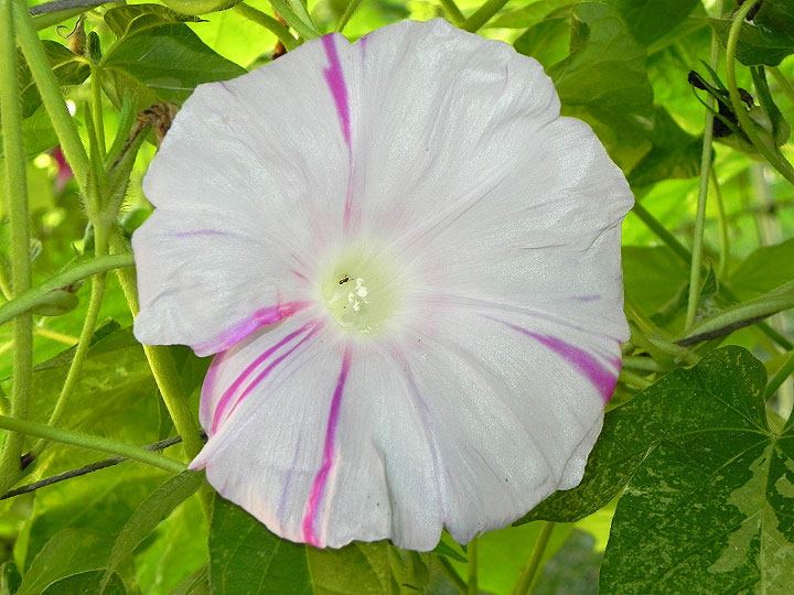 DSCN9341