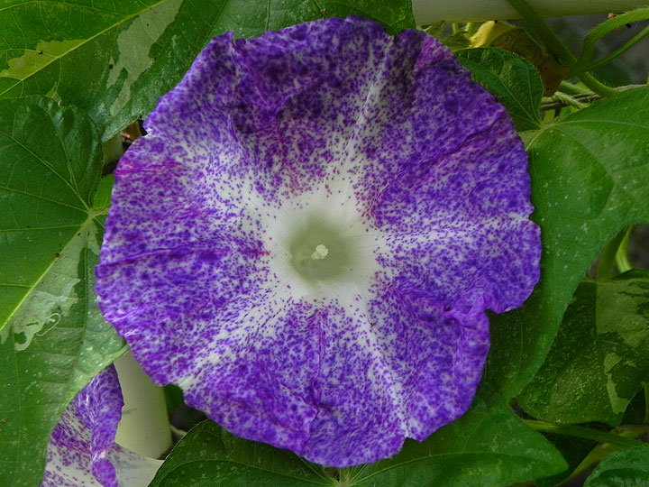 DSCN9572