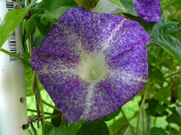 DSCN9573