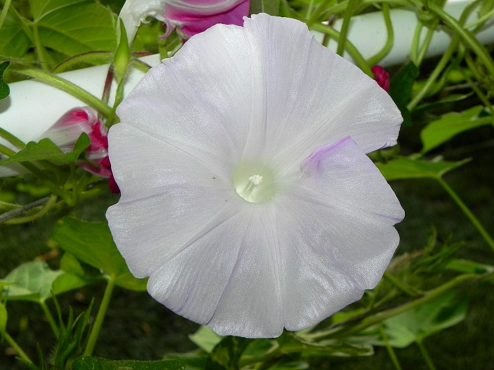 DSCN9873