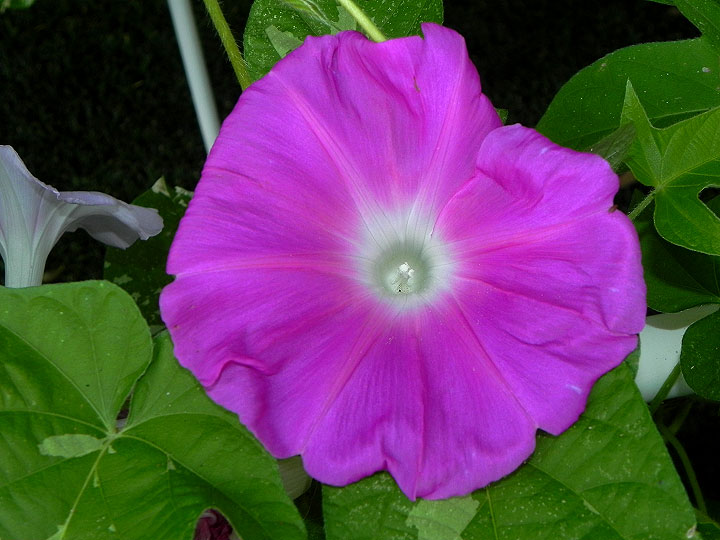 DSCN9874