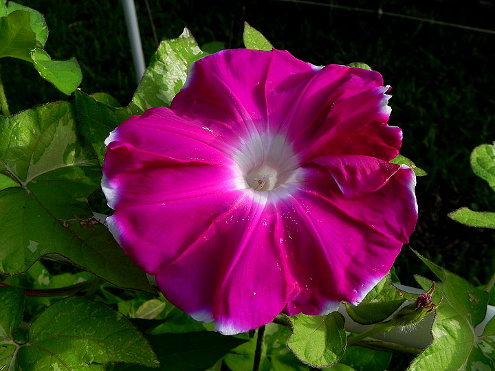DSCN9965