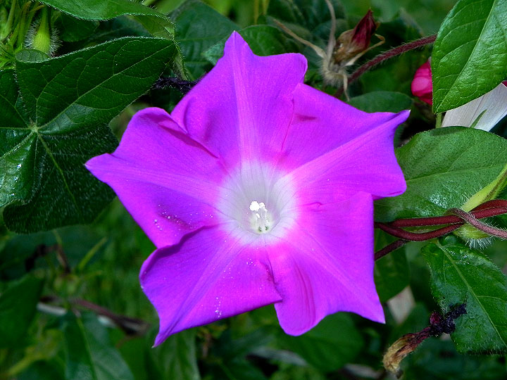 1-dscn0081