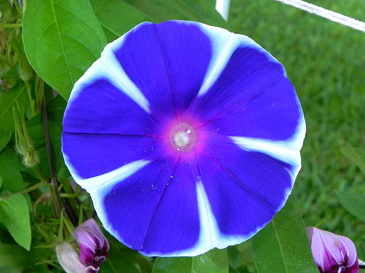1-dscn0119