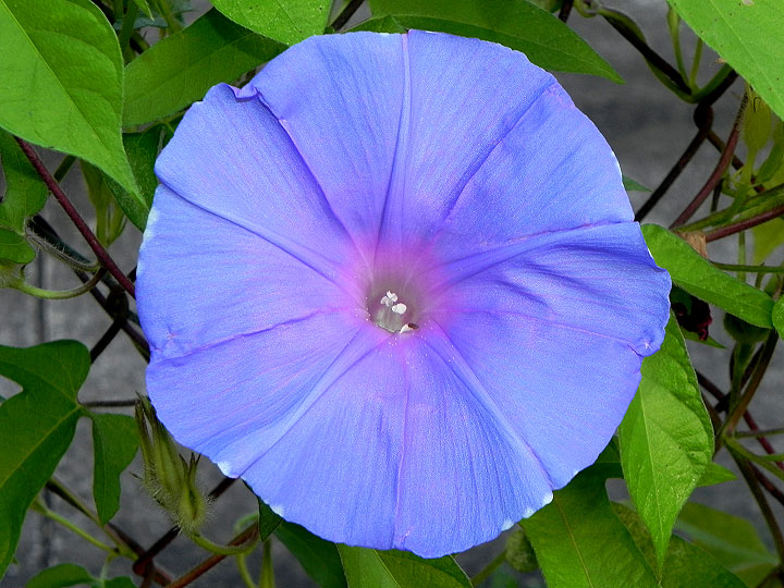 1-dscn0653