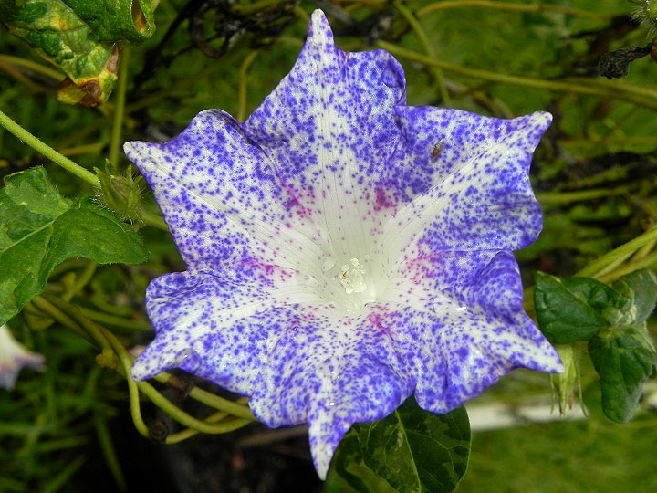 1-dscn4389
